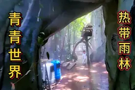 深圳青青世界热带雨林是：避暑，看热带动植物的好地方。偶遇彩虹视频封面