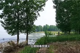 小伙子今天到河边野钓，没想到他竟然是个钓鱼高手鱼获他会怎办视频封面