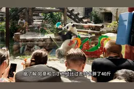 盘点世界上最爱熊猫的六个国家，最后一个简直是过着帝王般的生活视频封面