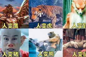盘点六版猛男变动物，你觉得变身后谁的战力更强？视频封面