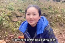 四川南充蓬安，6元一斤的黄精农村小鲁又种了些，会成“黄金”吗视频封面