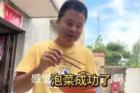 泡豇豆取得圆满成功，酸辣开胃，猪肝￼这么炒一点都不腥