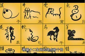 十二生肖适合行业大全，你可以不信，但你必须知道！#国风视频封面