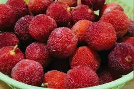 杨梅用盐和清水洗相当于吃虫卵，教你正确做法，小孩也可以放心吃视频封面