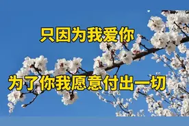 为了你我愿意付出一切，只因为我爱你！视频封面