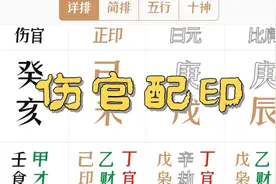 子平术之：命理四柱—伤官配印的组合条件视频封面