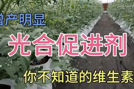 植物生长调节剂课程经典课程视频封面