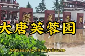 大唐芙蓉园最新攻略（一），必看，以防踩坑。视频封面