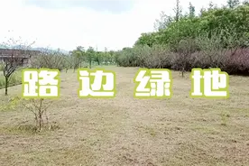 路边绿地系列之高架桥南侧视频封面