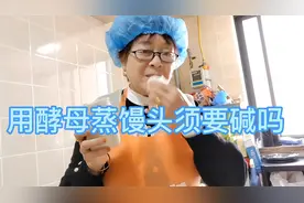 用酵母蒸馒头需不需要加碱，蒸馒头的小知识，推荐上热门视频封面