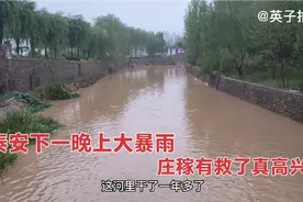 山东泰安下了一晚上大暴雨，沟满河涨，庄稼有救了真高兴视频封面