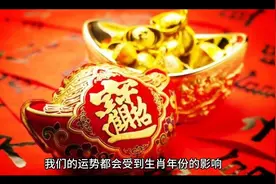 74年属虎49和50命运视频封面