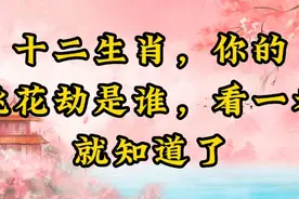十二生肖的“桃花劫”，你是谁的桃花劫视频封面