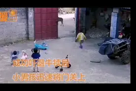 孔子的儒家思想最符合人性：爱自己的亲人