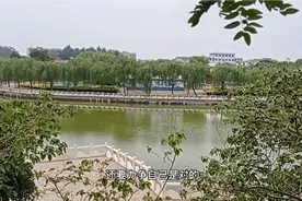 有些人明明自己错了，为何不敢承认错误，反而责怪别人视频封面