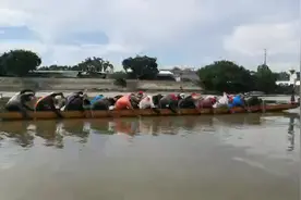 道滘南丫村🐲船视频封面