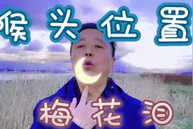 一曲《梅花泪》，教你学会一个高难度唱歌发声技巧：稳定喉头视频封面