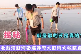揭秘赶海类自媒体夸大赶海收获真相，他们说谎的原因是什么呢？视频封面
