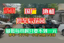 武商，国广，协和停车的后花园，停车一天平均一小时才几毛视频封面