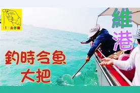 大东风香港维多利亚港钓时令鱼