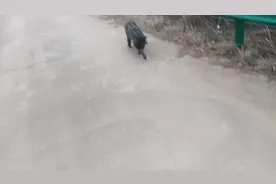 安徽跟湖北的边境上看望一家特殊的三口之家视频封面