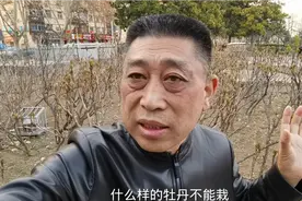 春栽牡丹为啥老死不开花，怎样植栽会开花，专业人士讲植栽方法视频封面