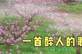 《一首醉人的歌》歌里有你的真情，有我的快乐，汇成一条条爱的河视频封面