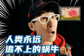 人类永远追不上的蜗牛🐌