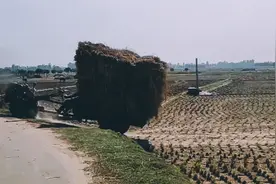 中国制造手扶拖拉机，在越南，印度横行霸道!视频封面