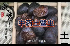 中药土鳖虫的作用与功效。性味归经。中药，中草药。@西瓜知识视频封面