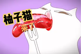 烤肠与柚子猫那些爱恨情仇