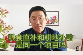 粮食直补和耕地补贴是同一个项目吗视频封面