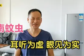 都说海南蚊子多蟑螂大，老鼠不怕人，如今情况到底怎样