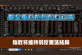 明天依旧维持弱反震荡走势，重点关注基金重仓抱团方向！视频封面