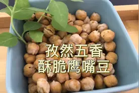 不加一滴油，鹰嘴豆酥脆的秘诀，健康美味，吃一粒就停不下来～视频封面