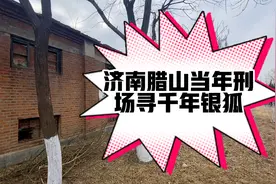 探寻济南军事要地“当年刑场”腊山，寻千年白狐！