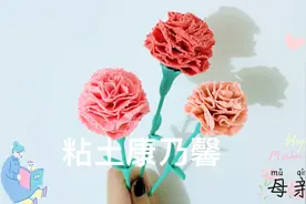 康乃馨花语：尊敬、宽容和祝福 它每一片花瓣都是母亲对我们的爱视频封面
