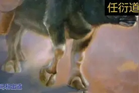 你知道出马和出道的区别吗？我来带你了解一下。