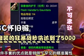 魔兽世界TBC怀旧服：P1阶段两件绿装狂暴战秒伤超过了5000视频封面