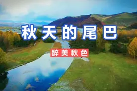 秋已深，冬快至视频封面