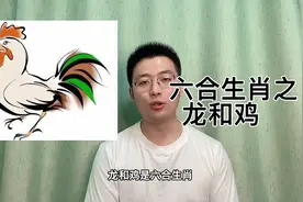 六合生肖之龙、鸡。生肖龙配生肖鸡，相合，快转发给属龙属鸡的朋