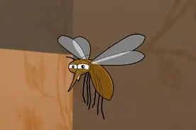 大头儿子家里有蚊子，小头爸爸他们乱放东西，所以才会吸引蚊子。视频封面