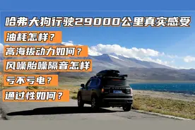 哈弗大狗行驶29000公里用车感受，真实油耗以及亏电等一系列问题视频封面