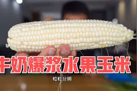 生吃漳州特产“牛奶爆浆玉米”，一口下去满嘴清甜
