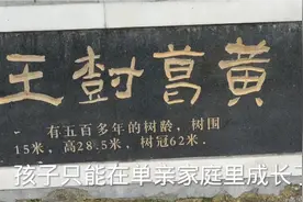 不会处事的婆婆视频封面