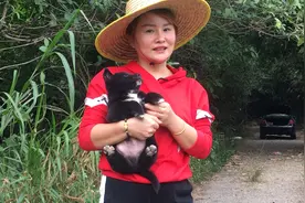 下乡寻好犬，罕见的四脚踏雪，胸怀挂银小黑狗，标准的五短身材视频封面