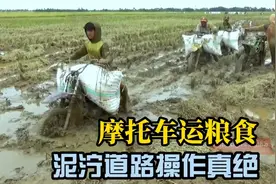 看了越南人骑摩托车，感觉自己那么多年的摩托车白骑了视频封面