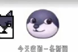 一个小孩从二十楼跳下来，他喊的不是救命你猜他喊的是什么 ？视频封面