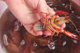 龙虾好吃清洗难，只需学会这一招，3步快速去虾线清洗龙虾，收藏