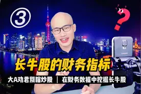 买中生意模式优秀的股票十年翻十倍，问题是怎么去找？请看视频…视频封面